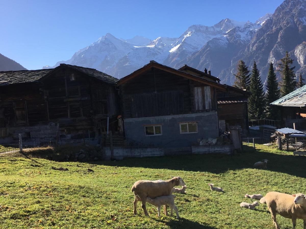 Chalet Safran Grächen Exterior foto
