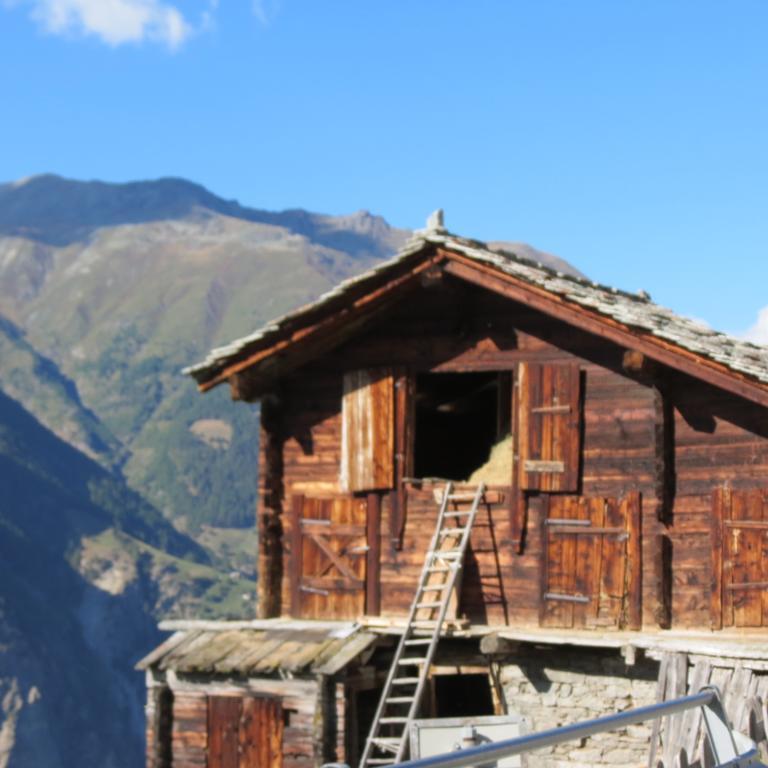 Chalet Safran Grächen Exterior foto